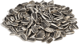 Sunflower seeds PNG-42937